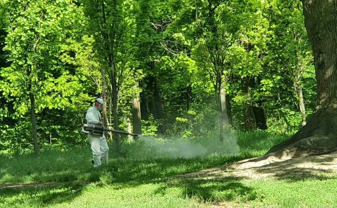 У столиці проводять обробку від кліщів у парках і скверах (локації)