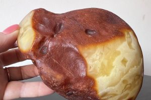 Київські митники вилучили унікальні зразки бурштину (фото)