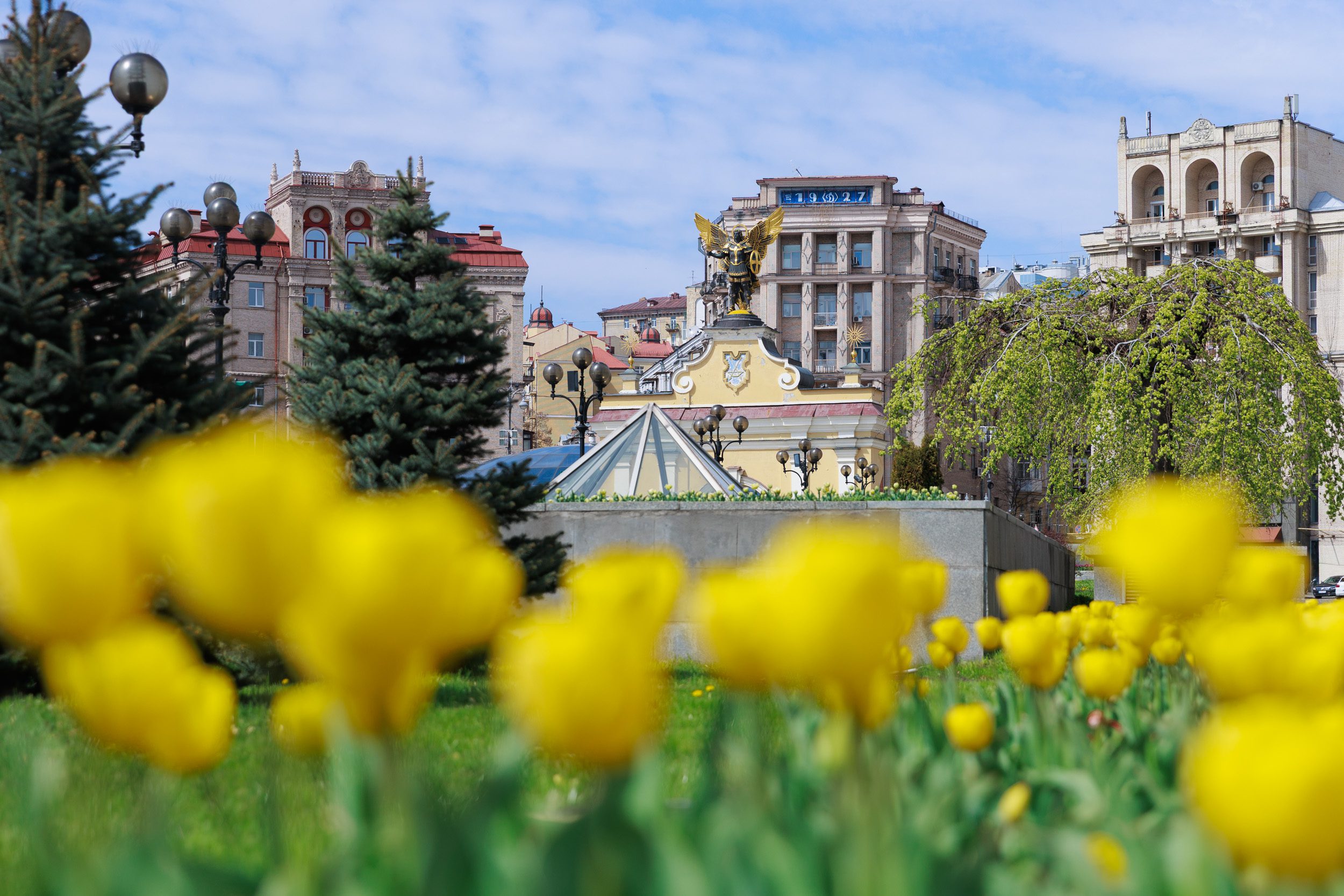 У Києві розквітли перші тюльпани (локації)
