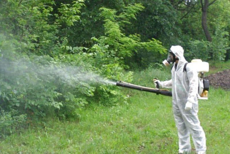 У Святошинському районі комунальники щоранку упродовж тижня оброблятимуть парки від кліщів