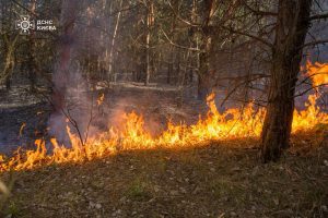 У Києві за добу вигоріло понад 3 га трави біля озера Тягле та ділянка чагарників на Закревського У Києві за добу вигоріло понад 3 га трави біля озера Тягле та ділянка чагарників на Закревського