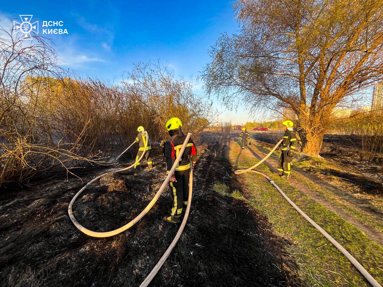 У Києві за добу вигоріло понад 3 га трави біля озера Тягле та ділянка чагарників на Закревського