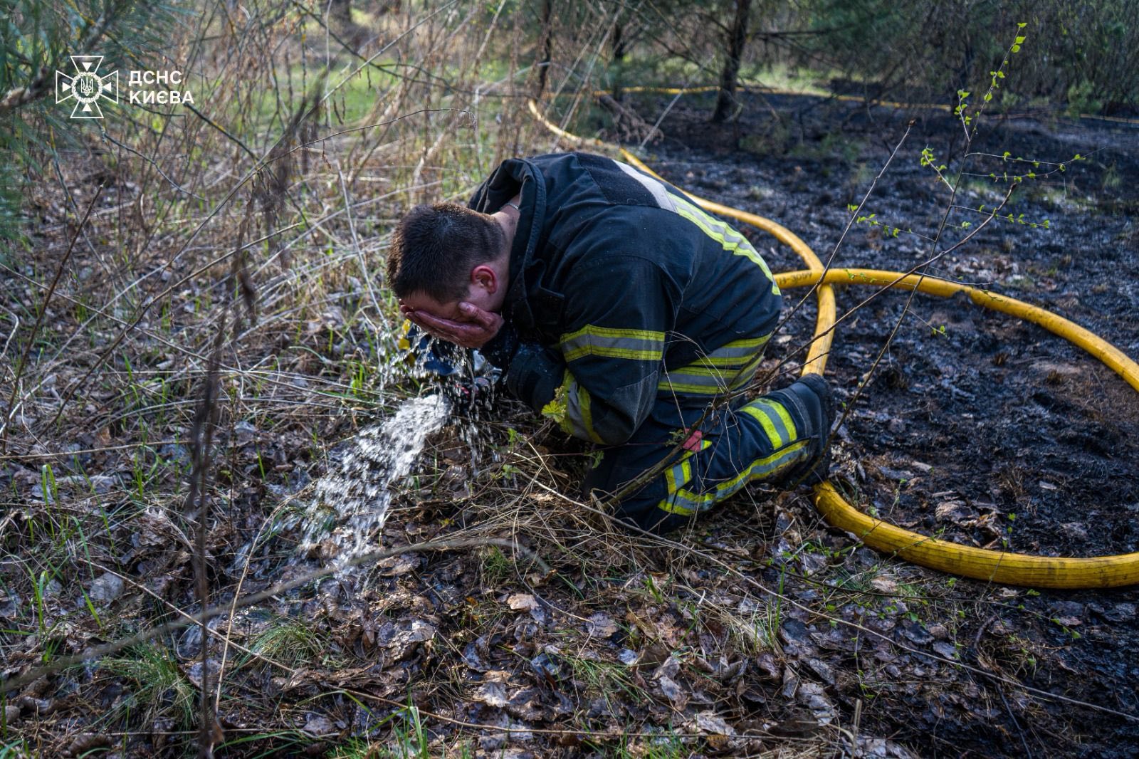 У Києві за добу вигоріло понад 3 га трави біля озера Тягле та ділянка чагарників на Закревського