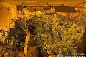 У столиці викрили злочинну групу, яка забезпечувала наркотиками та психотропами всі регіони України (фото, відео) У столиці викрили злочинну групу, яка забезпечувала наркотиками та психотропами всі регіони України (фото, відео)