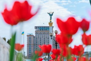 У Києві розквітли перші тюльпани (локації) У Києві розквітли перші тюльпани (локації)