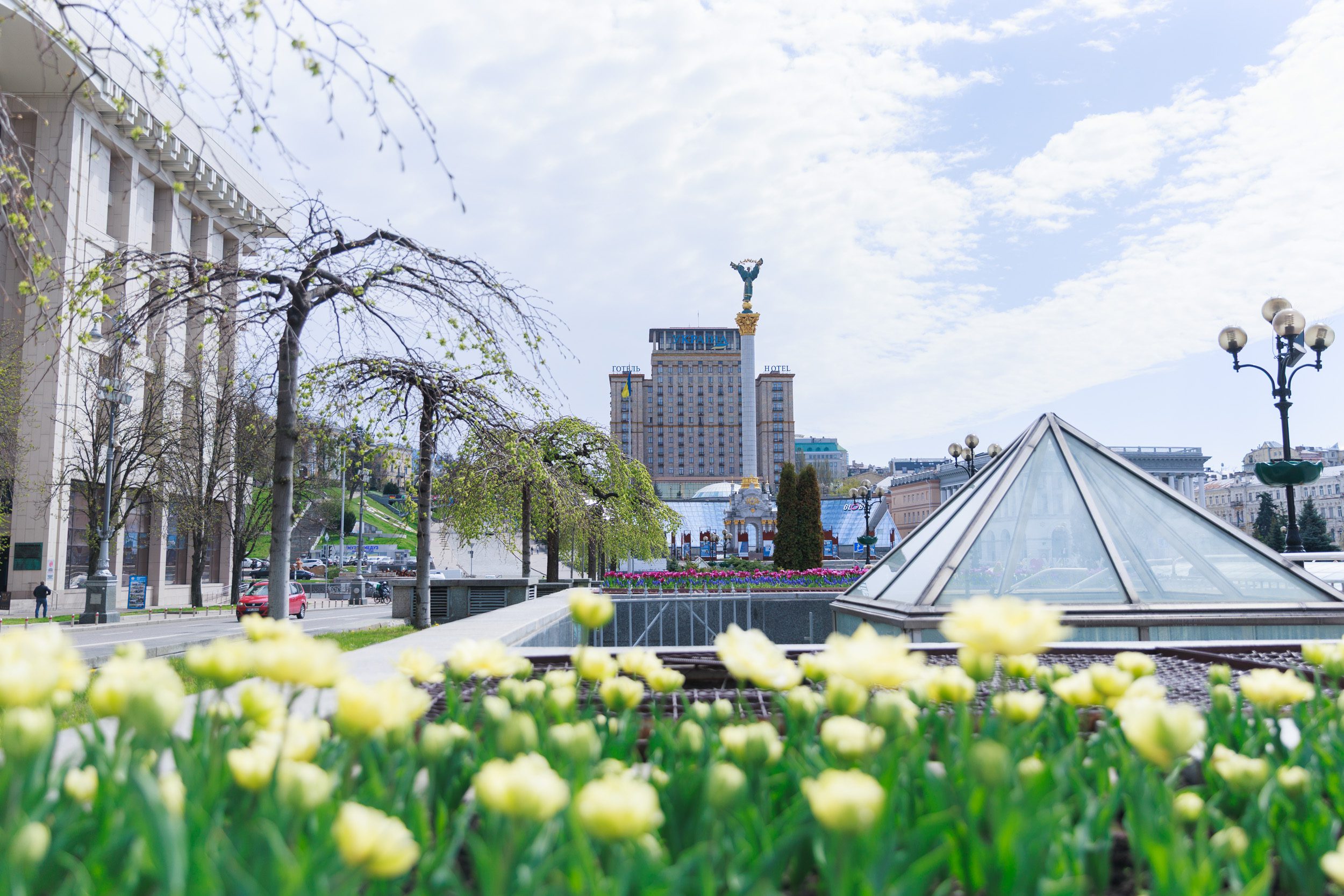 У Києві розквітли перші тюльпани (локації)