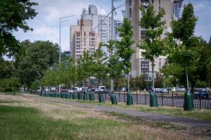 У КМДА пояснили навіщо міські дерева обмотують торбами 