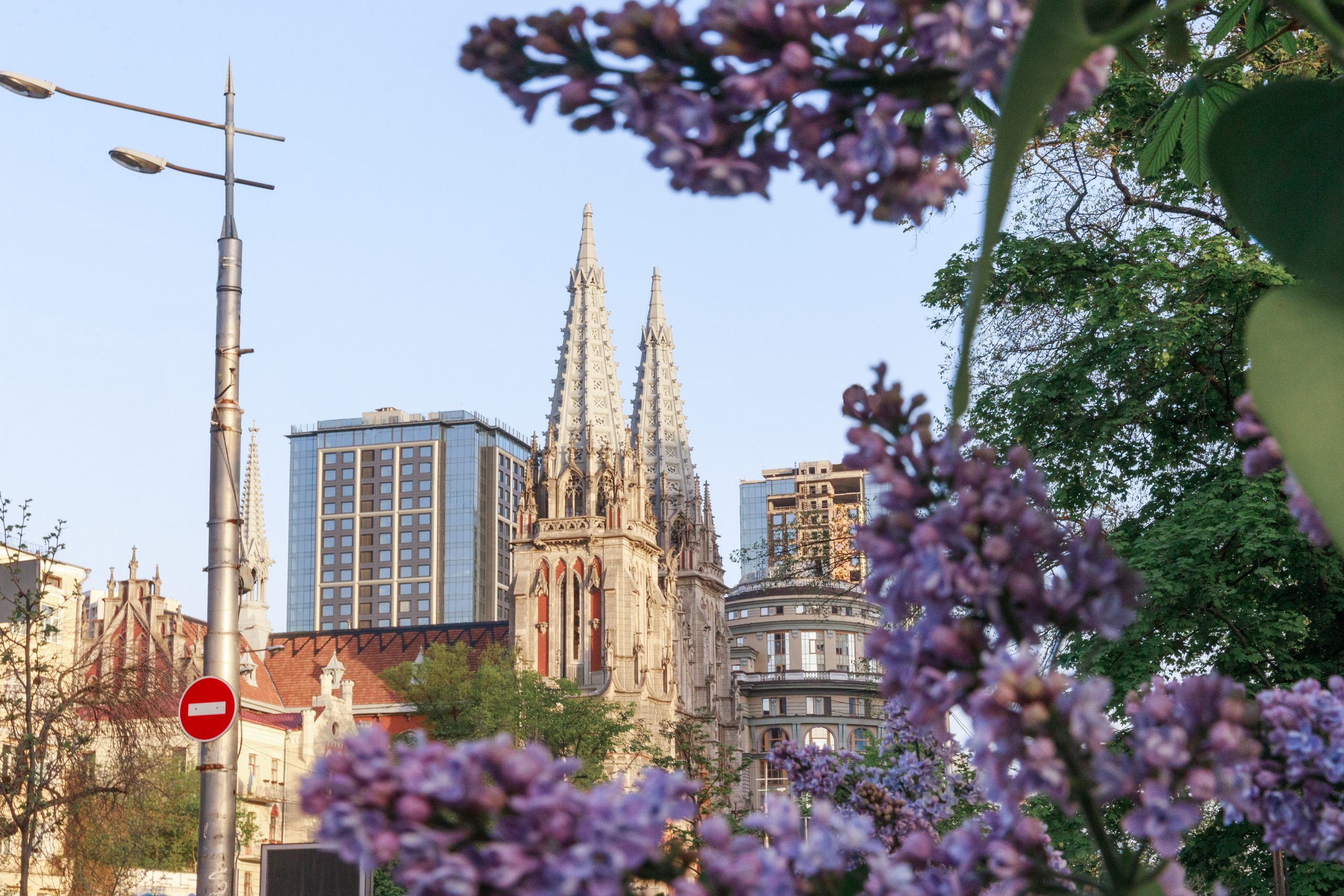 У Києві в розпалі сезон цвітіння бузку (фото, локації)