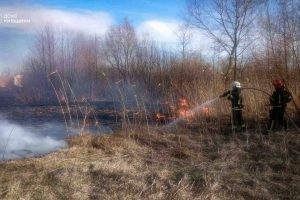 На Київщині внаслідок спалювання сухої трави загинули двоє людей