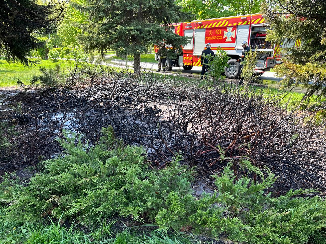 У броварському парку “Перемога” сталася пожежа, — мер Сапожко
