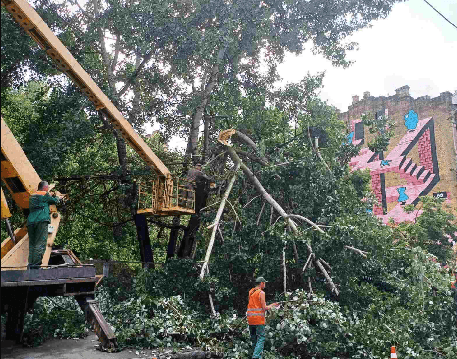 "Київтеплоенерго" витратить 2,1 млн гривень на санітарну обрізку дерев