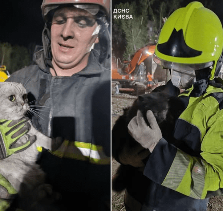 У Києві завершили пошуково-рятувальні роботи на місці терористичного удару рф У Києві завершили пошуково-рятувальні роботи на місці терористичного удару рф