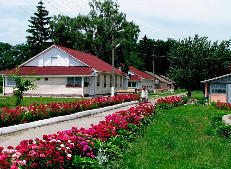 Дах геріатричного пансіонату в Таращі відремонтують за 2,1 млн гривень