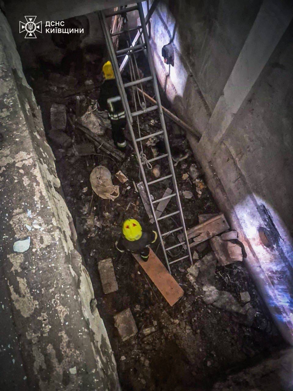 На Київщині рятувальники дістали собак з глибокої ями