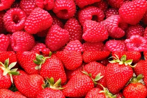 Дітям Дніпровського району за 2,2 млн гривень куплять малину, черешню і полуницю Дітям Дніпровського району за 2,2 млн гривень куплять малину, черешню і полуницю