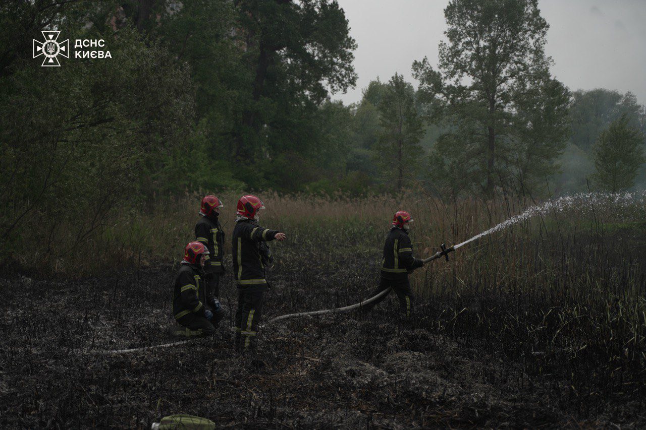 На території урочища Совки ліквідували масштабне загоряння очерету (фото)