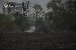 На території урочища Совки ліквідували масштабне загоряння очерету (фото) На території урочища Совки ліквідували масштабне загоряння очерету (фото)