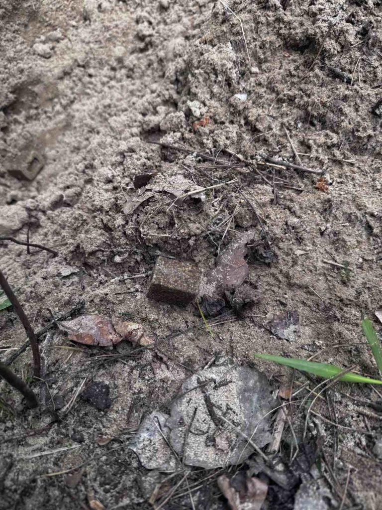 У Києві проведено весняну кампанію з імунізації диких тварин проти сказу