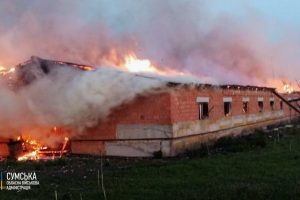 На Сумщині внаслідок обстрілів рф загинули сотні свійських тварин, знищено тонни зерна На Сумщині внаслідок обстрілів рф загинули сотні свійських тварин, знищено тонни зерна