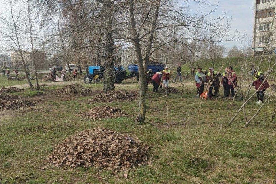 В КМДА відрапортували про ліквідацію близько 400 стихійних сміттєзвалищ за місяць (фото)