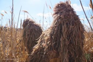 На фронті за добу 79 бойових зіткнень, - Генштаб 