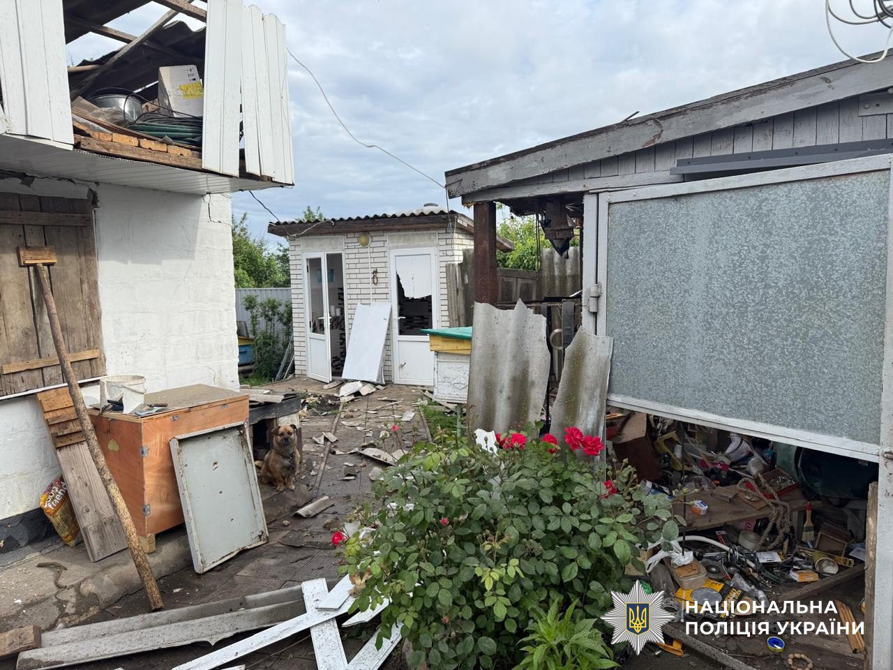 У Запорізькій області російські КАБи вбили 9-річну дівчинку