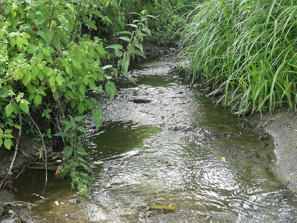 «Київавтошляхміст» готується до відновлення мосту через струмок Віта