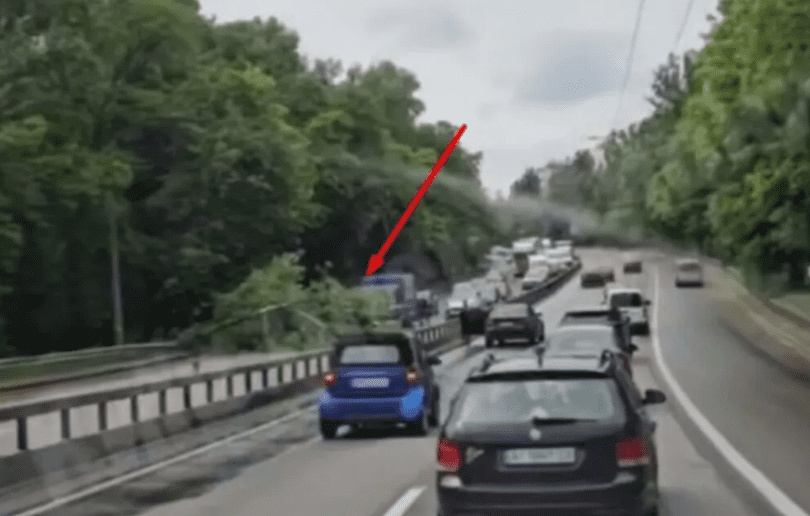 Через падіння дерева на вул. Теліги тролейбуси №№ 27, 30, 31 курсують зі змінами руху