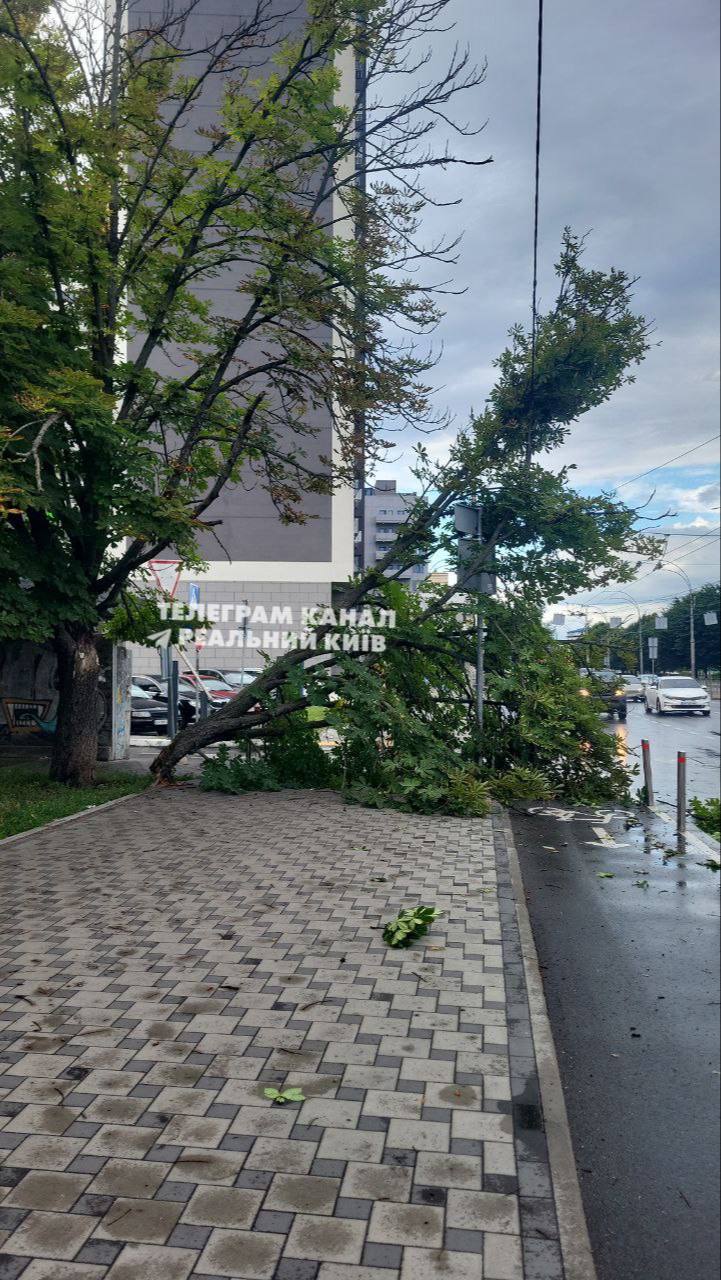 Негода вірує в Києві