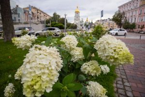 За дві доби у столиці було зафіксовано п’ять температурних рекордів За дві доби у столиці було зафіксовано п’ять температурних рекордів