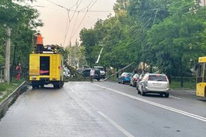 У столиці через негоду та падіння дерев пошкоджено майно і автомобілі, – КМВА У столиці через негоду та падіння дерев пошкоджено майно і автомобілі, - КМВА