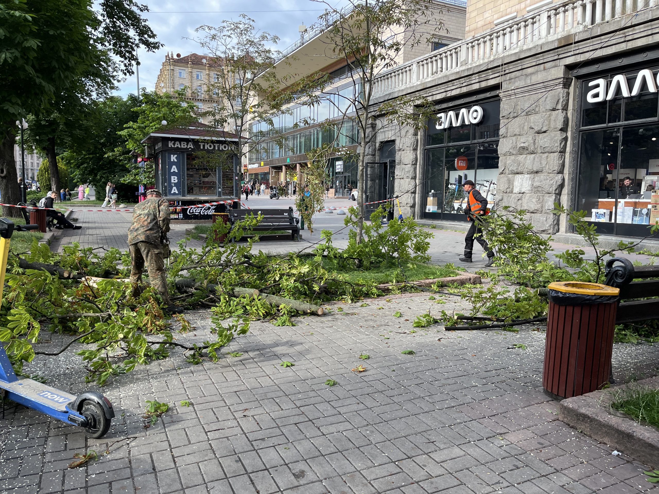 На Хрещатику через негоду на пішохідну частину впало дерево