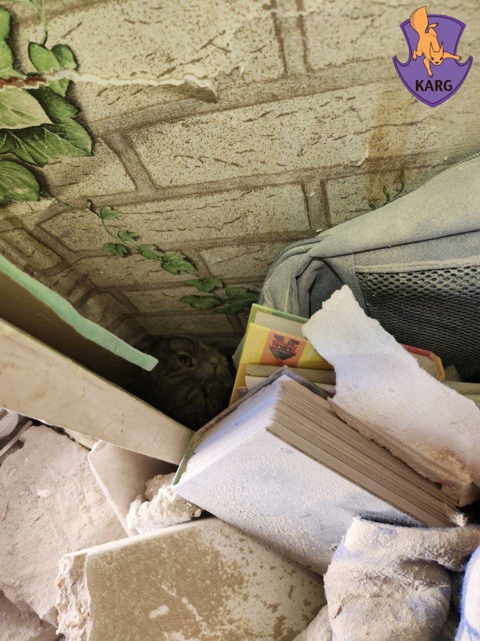 У Києві з-під завалів зруйнованої 23 червня ракетою п'ятиповерхівки врятували кота У Києві з-під завалів зруйнованої ракетою п'ятиповерхівки врятували кота