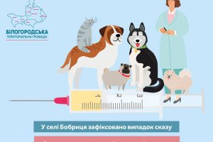 У Бобриці під Києвом зафіксували сказ