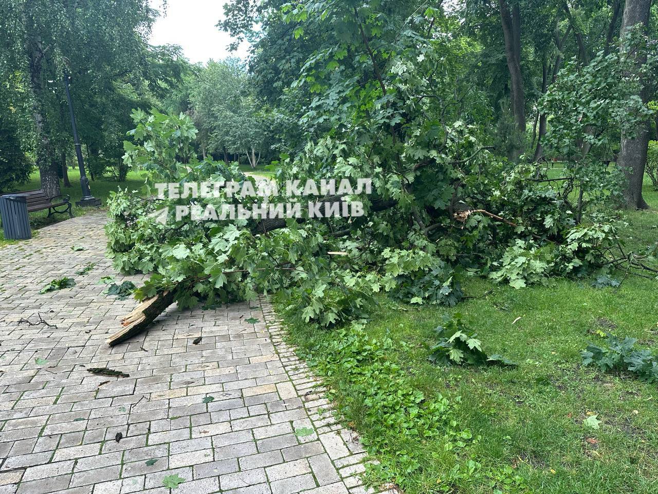 Негода вірує в Києві