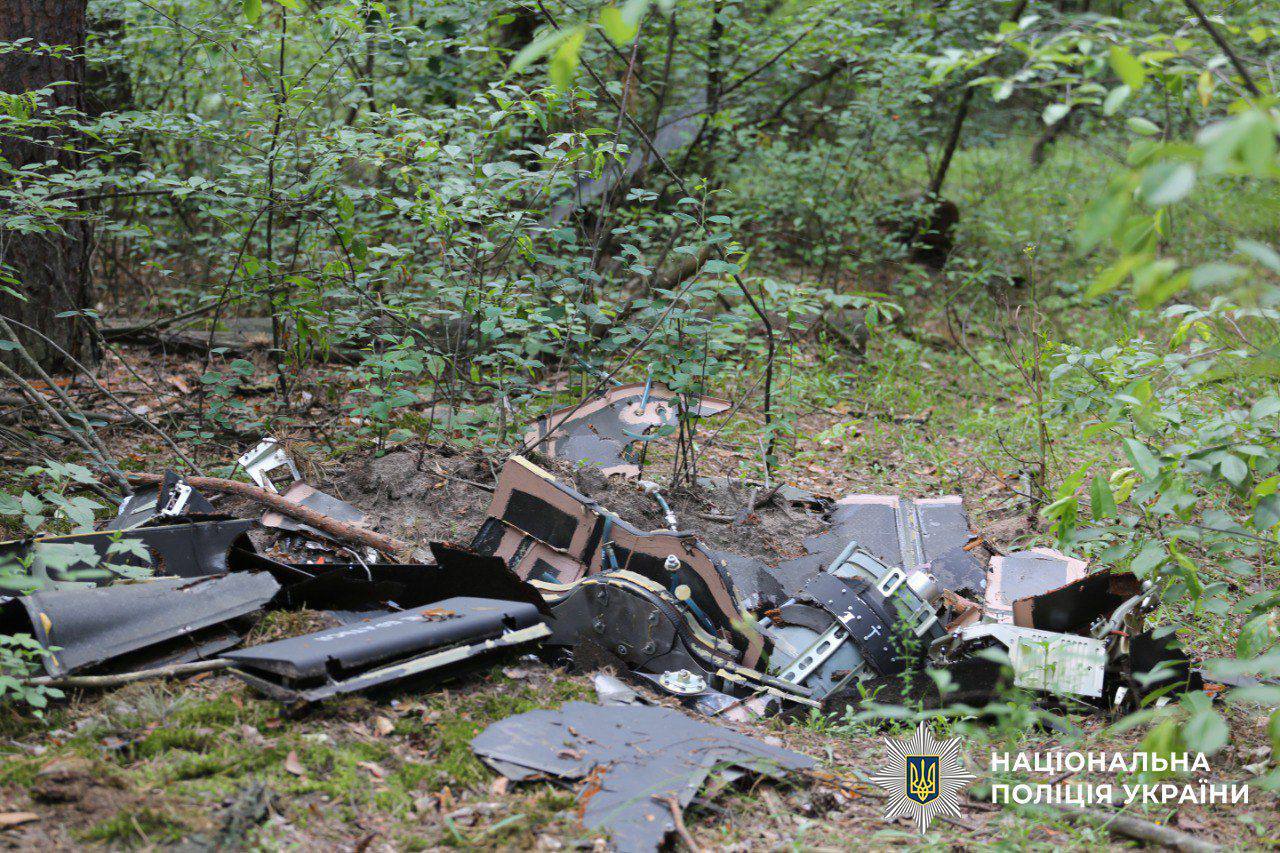 У столиці місцеві мешканці знайшли в лісосмузі два ворожі БпЛА
