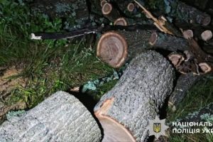 На Київщині судитимуть організатора незаконної вирубки лісу на понад 300 тисяч гривень На Київщині судитимуть організатора незаконної вирубки лісу на понад 300 тисяч гривень