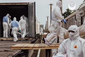 В Україну 15 червня повернули ще 1200 тіл загиблих В Україну 15 червня повернули ще 1200 тіл загиблих