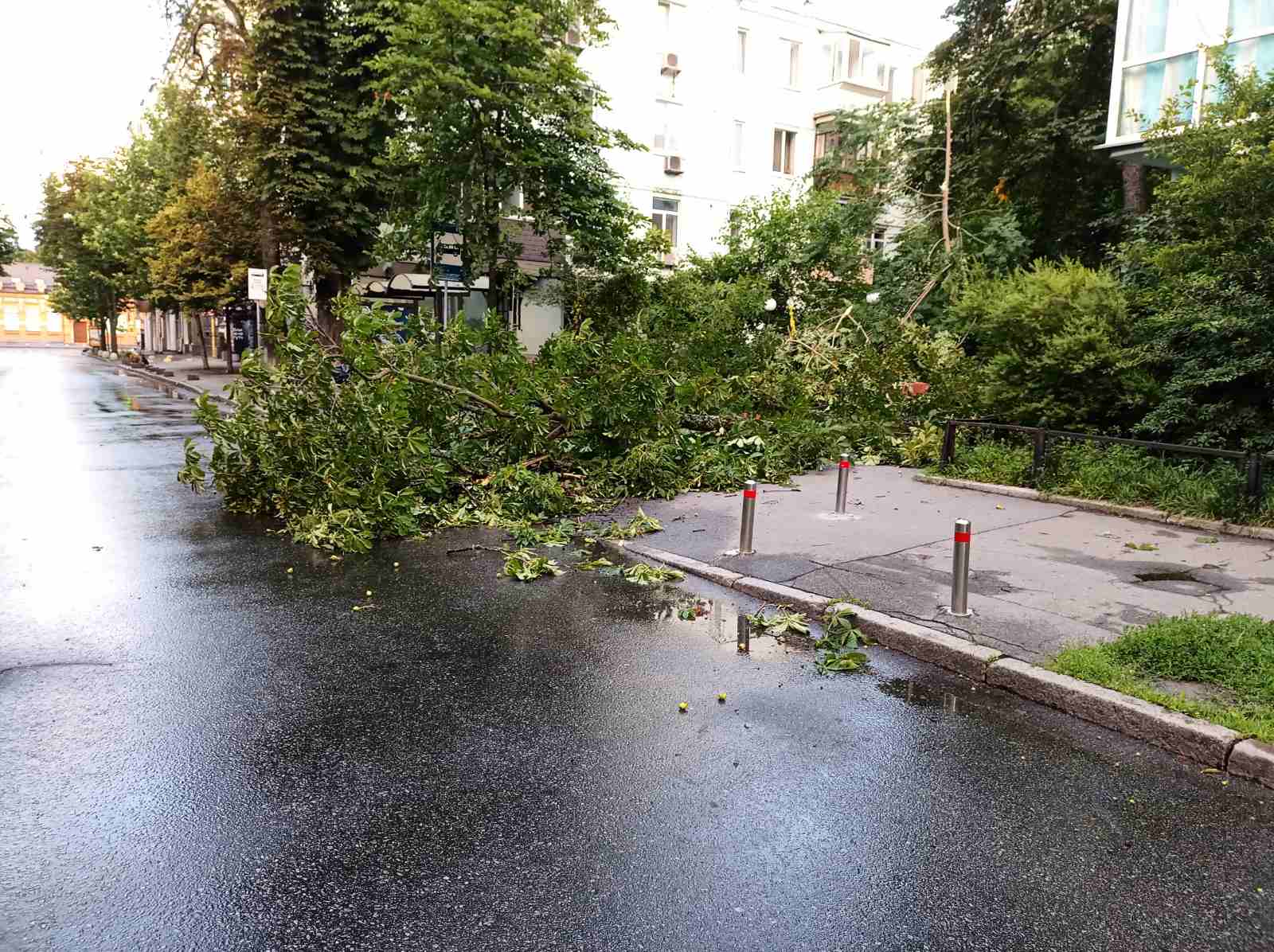 Рятувальники “Київської служби порятунку” усі ніч прибирали повалені вітром дерева (фото)