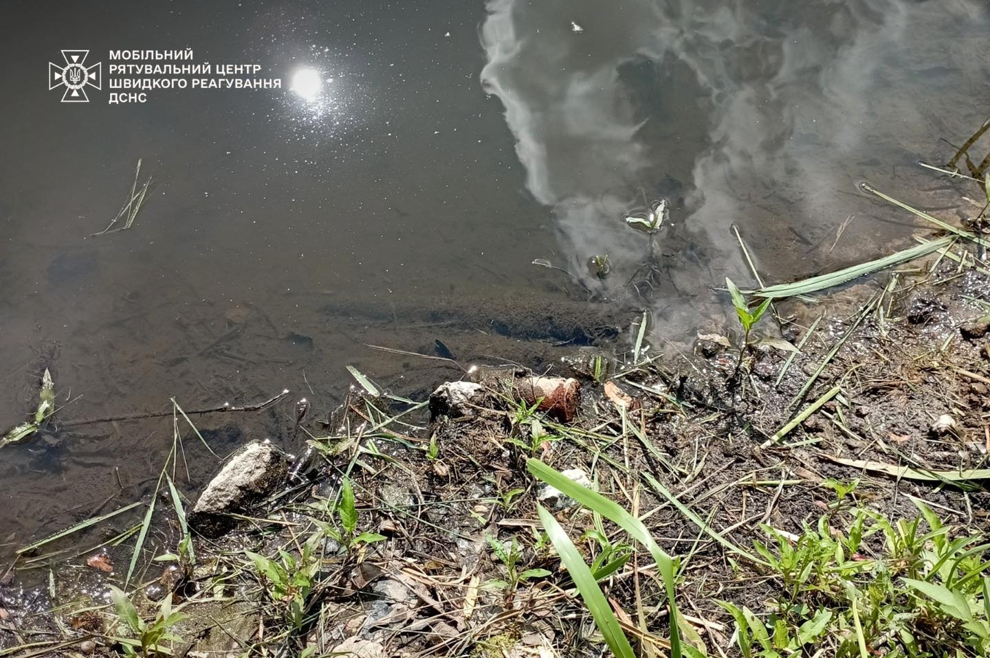 На Київщині знайшли бойову частину ворожого БпЛА та артилерійські снаряди На Київщині знайшли бойову частину ворожого БпЛА та артилерійські снаряди