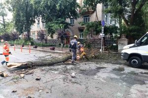 Рятувальники “Київської служби порятунку” усі ніч прибирали повалені вітром дерева (фото) Рятувальники “Київської служби порятунку” усі ніч прибирали повалені вітром дерева (фото)