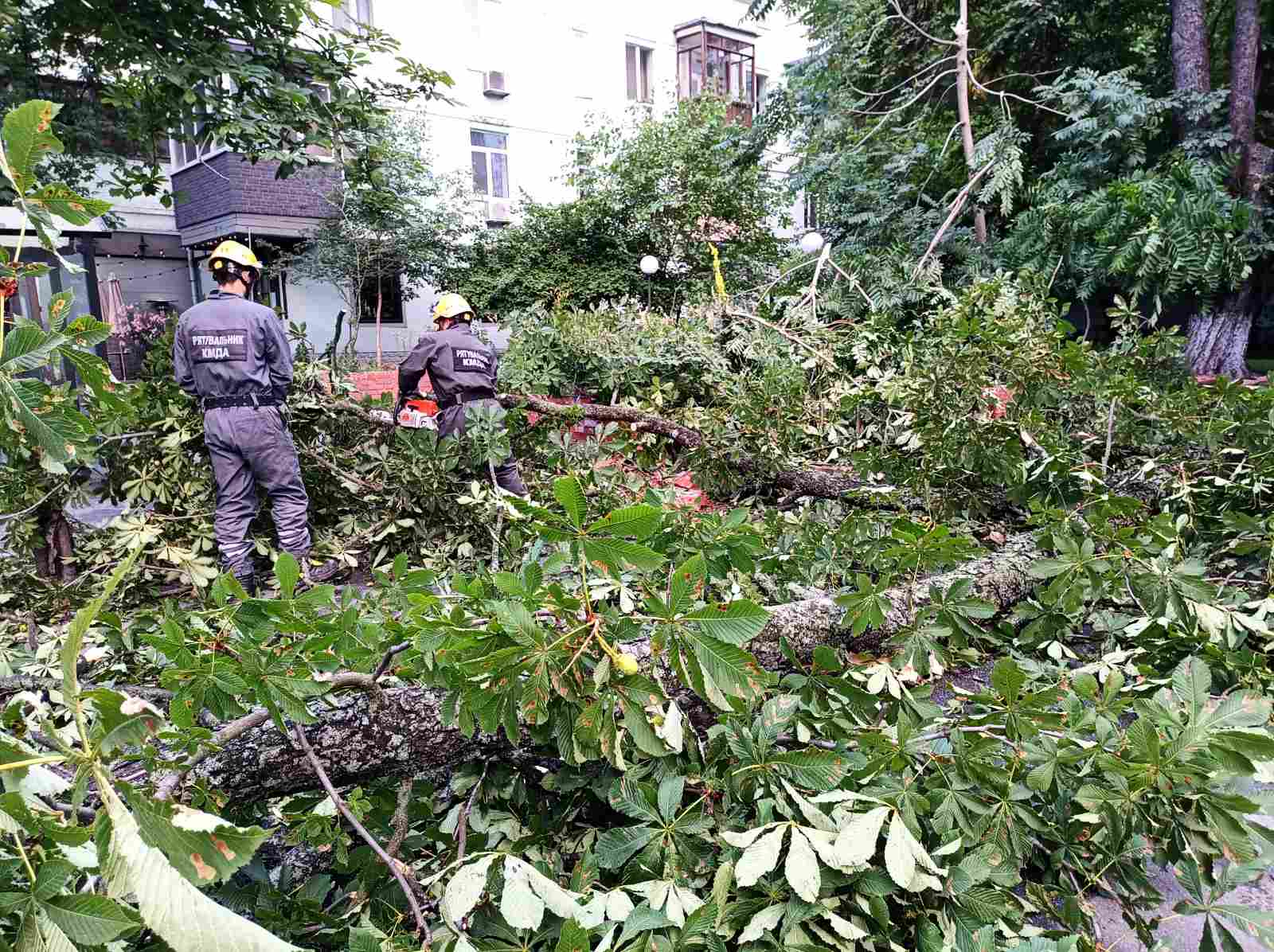 Рятувальники “Київської служби порятунку” усі ніч прибирали повалені вітром дерева (фото)