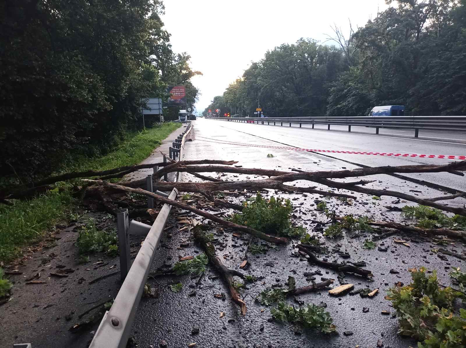 Рятувальники “Київської служби порятунку” усі ніч прибирали повалені вітром дерева (фото)