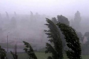 Завтра, 13 червня, на Київщині очікується шквальний вітер до 18 м/с, – Укргідрометцентр Завтра, 13 червня, на Київщині очікується шквальний вітер до 18 м/с, - Укргідрометцентр
