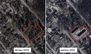 цісик пуща цісик пуща