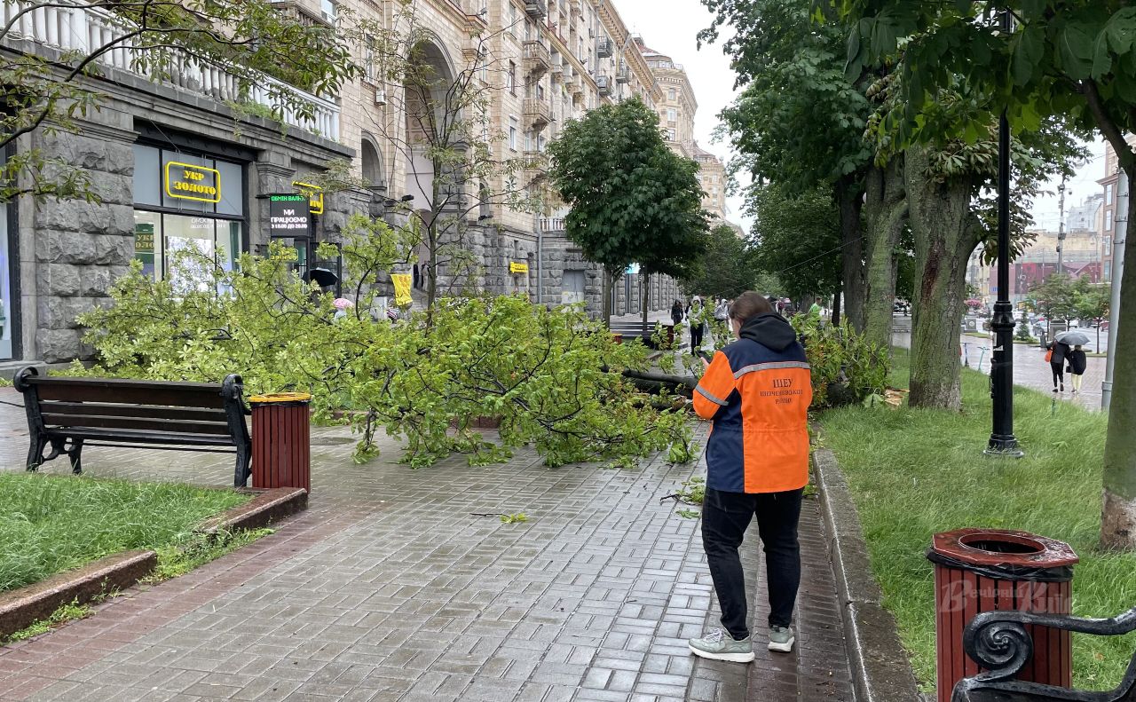 На Хрещатику через негоду на пішохідну частину впало дерево На Хрещатику через негоду на пішохідну частину впало дерево