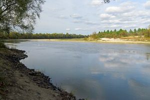 Прокуратура повернула Зазимській громаді земділянки у захисної смузі річки Десни Прокуратура повернула Зазимській громаді земділянки у захисної смузі річки Десни