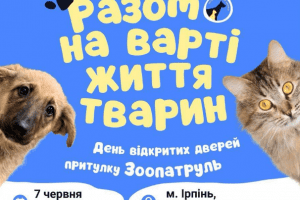 «Зоопатруль» запрошує всіх охочих познайомитися з котиками та песиками, які шукають дім