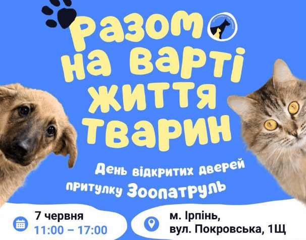 «Зоопатруль» запрошує всіх охочих познайомитися з котиками та песиками, які шукають дім «Зоопатруль» запрошує всіх охочих познайомитися з котиками та песиками, які шукають дім