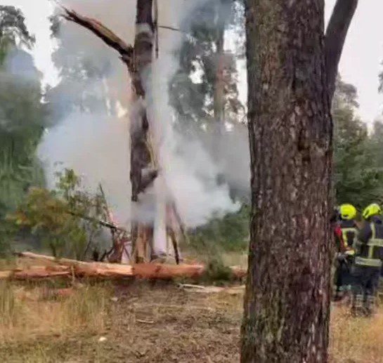 У парку Партизанської слави під час негоди блискавка влучила у сосну